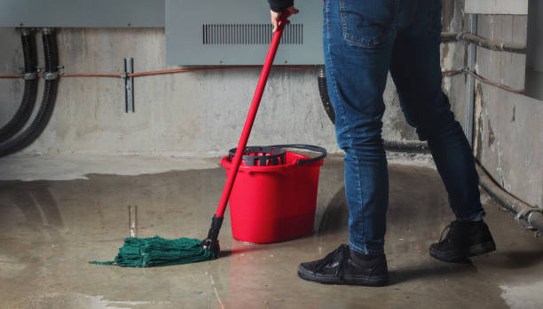 Best Water damage restoration specialists  in New Albany, IN