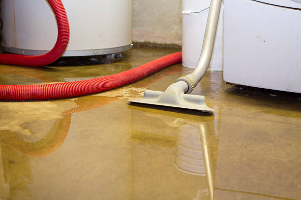 Best Sewage cleanup and water damage restoration  in New Albany, IN