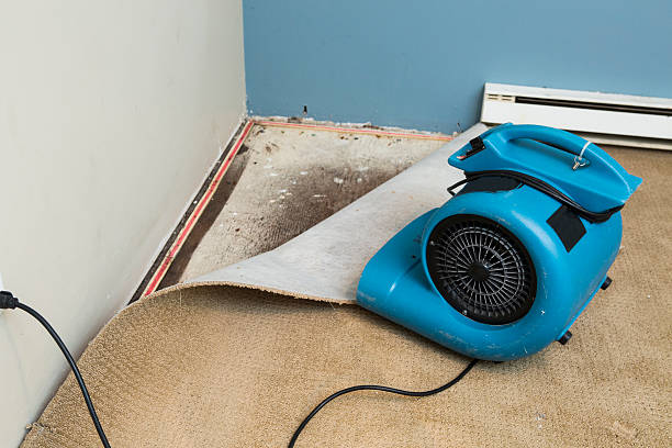 Best Water damage restoration experts  in New Albany, IN